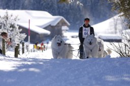 Lenk 2013